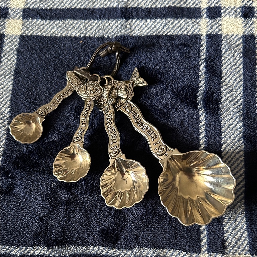 MetalSilver Measuring Spoons set of 4